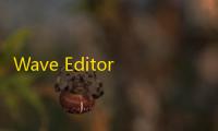 Wave Editor